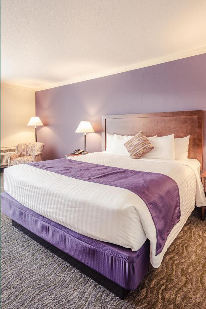 Comfort King Room interior